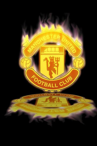 中快速融入 中快速融入